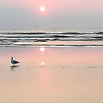 Cozy Tiny House Egmond Aan Zee- 500M From Beach-North Sea